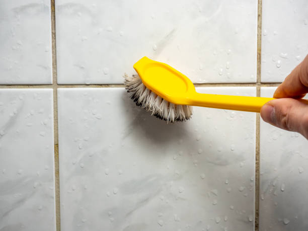 Best Residential Mold Remediation in Clyde, OH